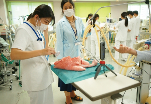 臨床工学科でブタの肺を観察している様子