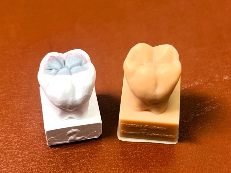 【体験実習】ワックスアップ