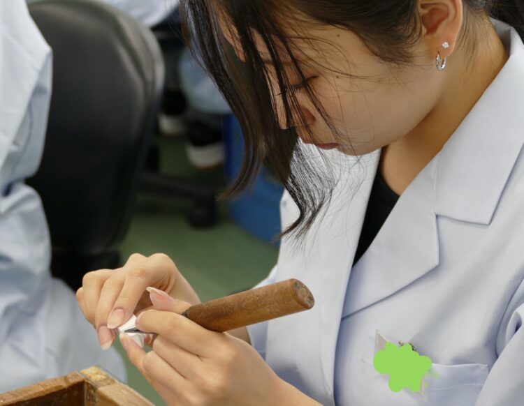 歯の形態再現　1年生