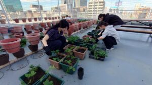 屋上園芸部