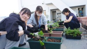 屋上園芸部