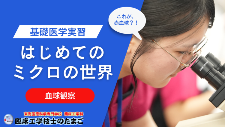【はじめてのミクロの世界！臨床工学科1年生が基礎医学実習で「血球観察」に挑戦】