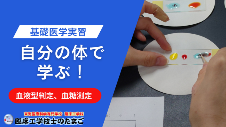 【自分の体で学ぶ！臨床工学科1年生が「血液型判定」と「血糖測定」を体験】