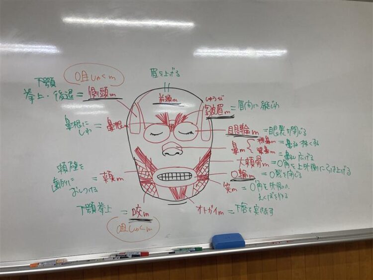 国家試験勉強　国試の達人　もとい　顔面の達人