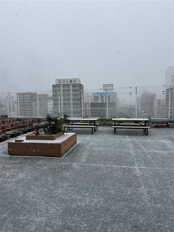 名古屋にも･･･⛄