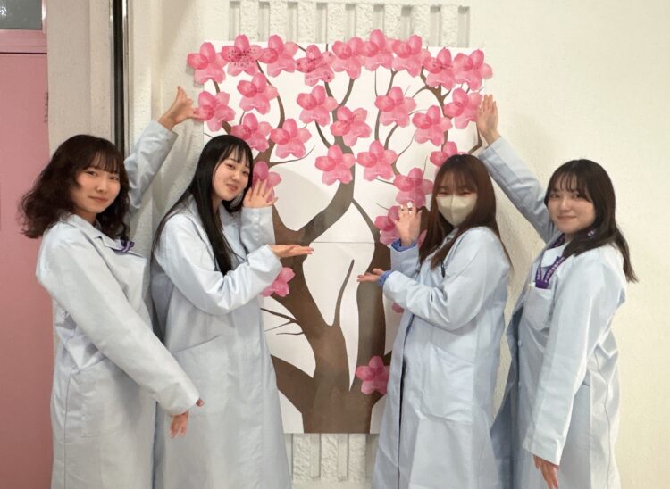 夢を桜にしました🌸