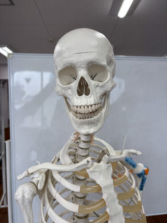 3年生　国試対策オフショット📷